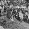 Pandemitë në historinë osmane: murtaja, kolera dhe gripi