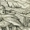 Sëmundja e djersitjes –  e njohur gjithashtu si djersitja